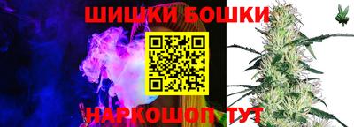 a pvp Обь