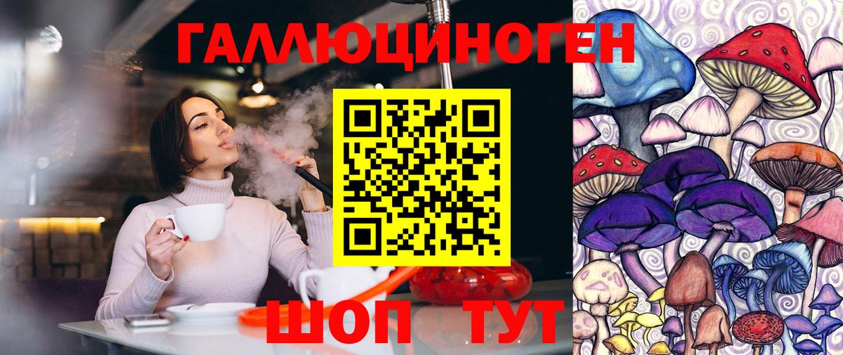 Галлюциногенные грибы Psilocybine cubensis Хабаровск