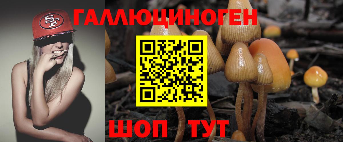 Хабаровск  Галлюциногенные грибы Psilocybe  Вход с VPN 